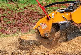 How Our Tree Care Process Works  in  Union City, OK