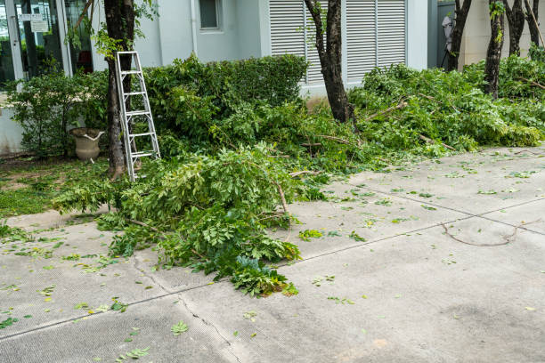 Best Pest Control for Lawns  in Union City, OK