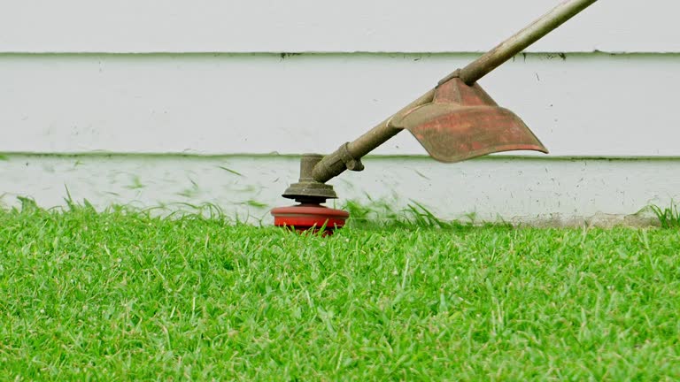 Best Tree Preservation Services  in Union City, OK